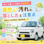 車に付着した花粉は放置厳禁！黄色い汚れの落とし方と注意点⚠